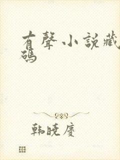 有声小说藏地密码