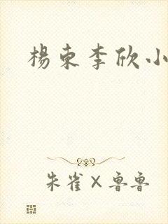 杨东李欣小说