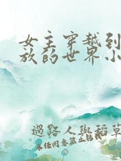 女主穿越到很开放的世界小说