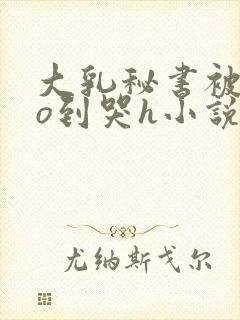 大乳秘书被cao到哭h小说