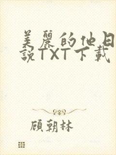 美丽的他日剧小说TXT下载
