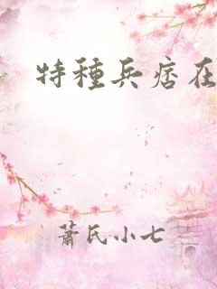 特种兵痞在都市