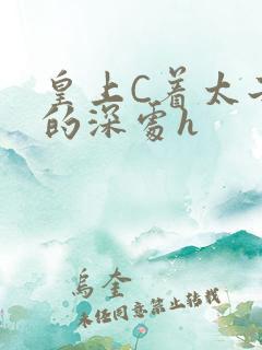 皇上C着太子妃的深处h
