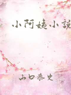 小阿姨小说