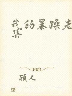 我的暴躁老妈全集