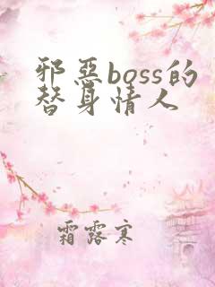 邪恶boss的替身情人