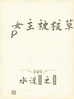 女主被校草们NP