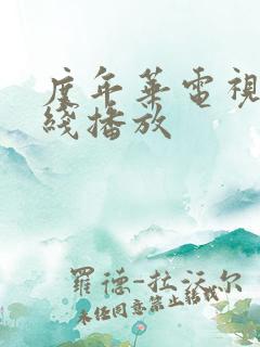 度年华电视剧在线播放