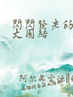 闪闪发光的小说大团结