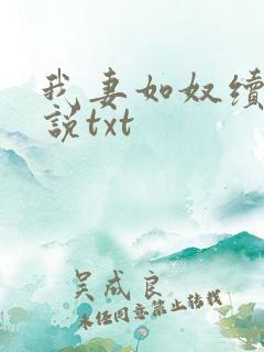 我妻如奴续写小说txt