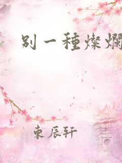 别一种灿烂生活