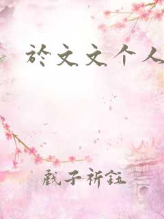 于文文个人简历