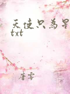 天使只为星夜哭txt