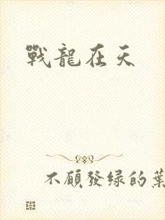 战龙在天