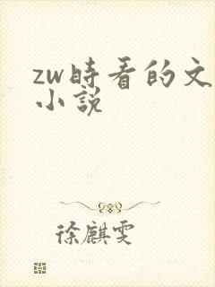 zw时看的文案小说