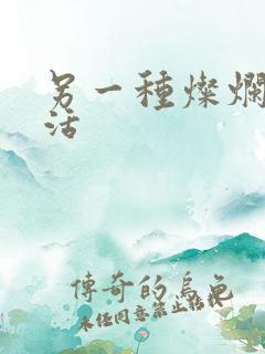 另一种灿烂的生活