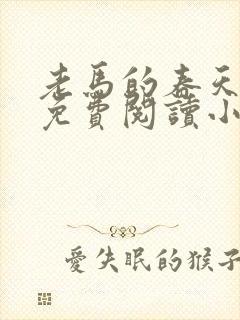 老马的春天全文免费阅读小说