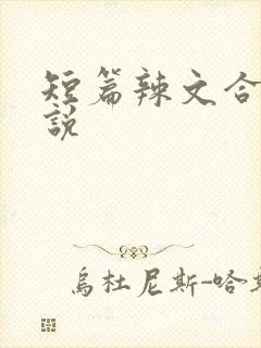 短篇辣文合集小说