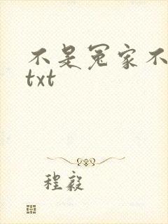 不是冤家不聚头txt
