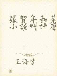 张贺年和叶繁姿小说叫什么名字