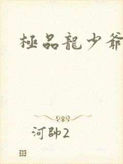 极品龙少爷