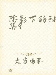 阴影下的秘密全集9