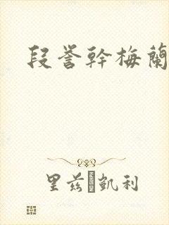 段誉干梅兰竹菊