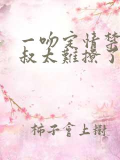 一吻定情禁欲小叔太难撩了