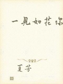 一见如花你就笑