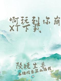 啊玩到你崩溃TXT下载