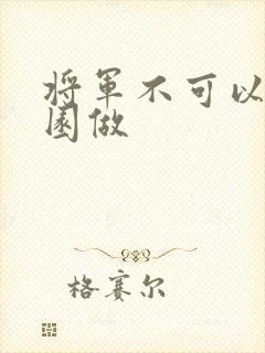 将军不可以在花园做