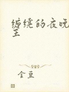 缠绕的夜晚双男主
