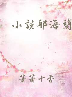 小说那海兰珠