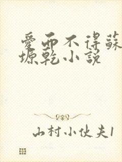 爱而不得苏路顾塬乾小说