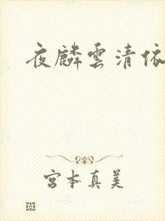 夜麟云清依小说