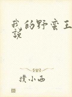 我的野蛮王妃小说
