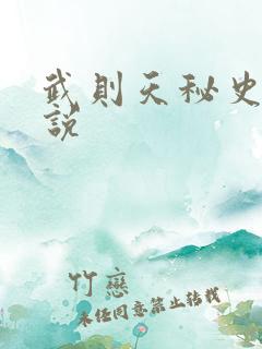 武则天秘史 小说