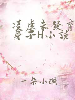 凌虐未发育的小身子H小说