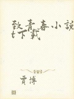 致青春小说txt下载