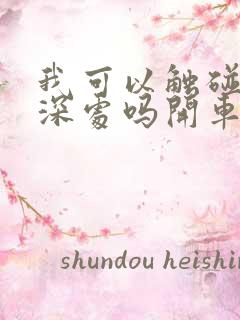 我可以触碰你的深处吗开车作文