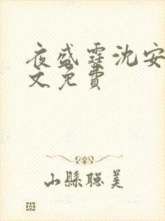 夜盛霆沈安然全文免费