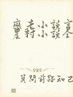 恋老小说言情网农村小说全文阅读