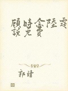 顾时念陆霆骁小说免费