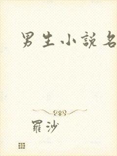 男生小说名字