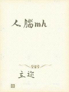 人脑mh
