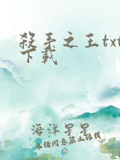 杀手之王txt下载