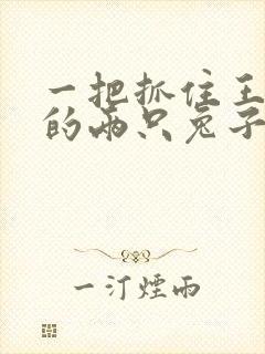 一把抓住王昭君的两只兔子