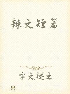 辣文短篇