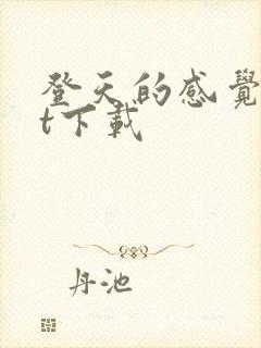 登天的感觉txt下载