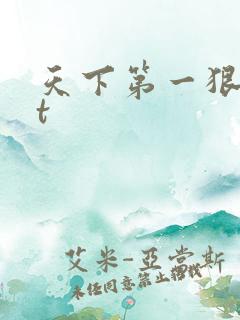 天下第一狠txt